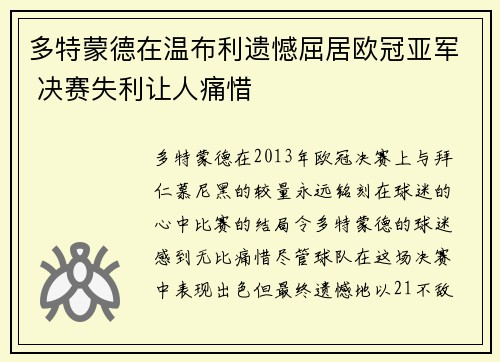 多特蒙德在温布利遗憾屈居欧冠亚军 决赛失利让人痛惜